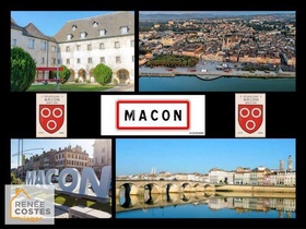 Viager occupé
