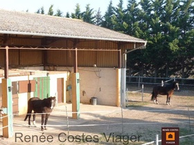 Viager occupé - Nîmes