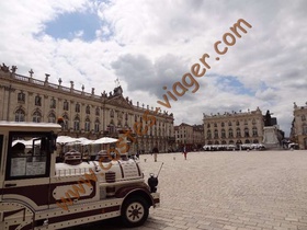 Viager occupé - Nancy