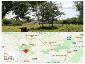 Viager occupé