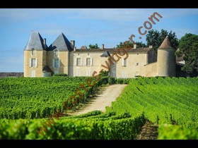 Vente en nue propriété - Sauternes