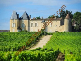 Vente en nue propriété - Sauternes