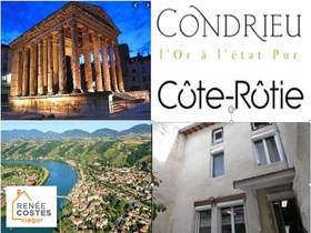 Vente en nue propriété - Vienne