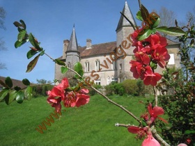 Vente à terme libre - Autun