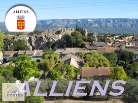 Viager occupé