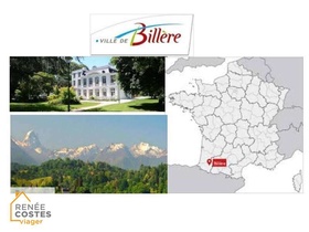 Viager occupé