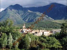 Viager occupé - Prades
