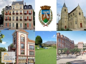 Viager occupé