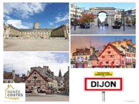 Vente en nue propriété