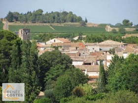 Viager occupé