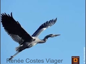 Viager occupé