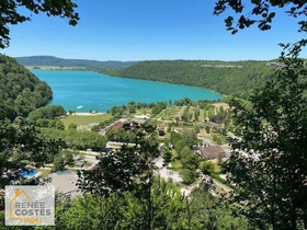 Viager occupé