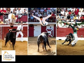 Viager libre - Aire-sur-l'Adour