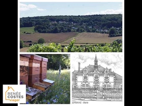 Viager occupé - Germaine