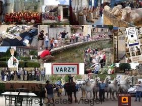 Viager occupé