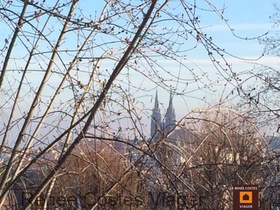 Viager occupé - Clermont-Ferrand