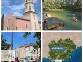 Viager occupé