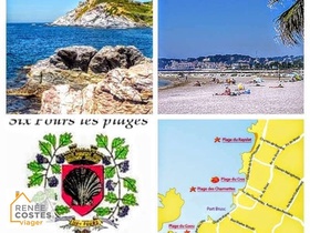 Viager occupé