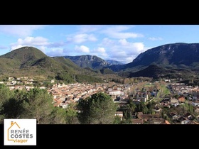 Viager occupé - Quillan