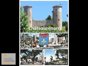 Viager occupé