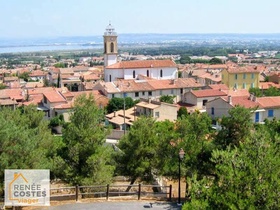 Viager occupé