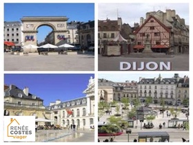 Viager occupé - Dijon