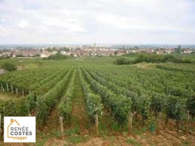 Viager occupé - Chenôve