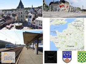 Viager occupé