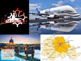 Viager occupé - Toulouse