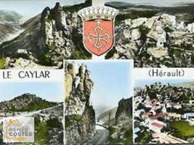 Viager occupé - Le Caylar