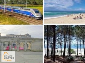 Viager occupé