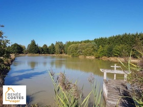 Vente en nue propriété - Lamotte-Beuvron