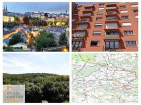 Viager occupé