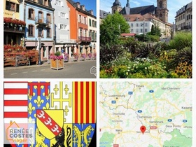 Viager occupé