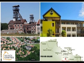 Viager occupé