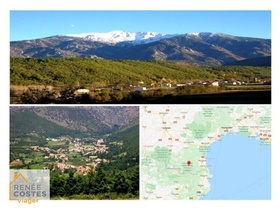 Viager occupé
