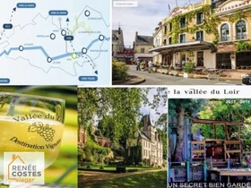 Viager occupé