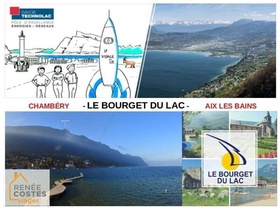 Viager occupé
