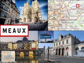 Viager occupé - Nanteuil-lès-Meaux