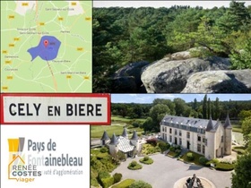 Viager occupé - Cély