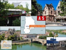 Viager occupé - Montereau-Fault-Yonne