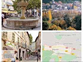 Viager occupé