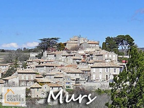 Viager occupé