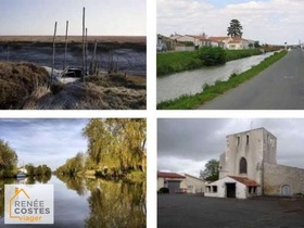 Viager occupé