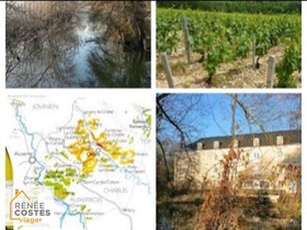 Vente à terme libre - Poilly-sur-Serein