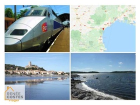 Viager occupé