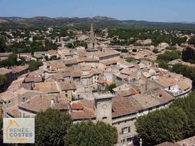 Viager occupé