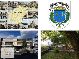 Viager occupé