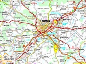 Viager occupé