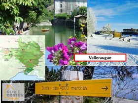 Vente à terme libre